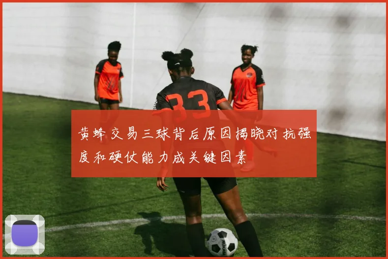 黄蜂交易三球背后原因揭晓对抗强度和硬仗能力成关键因素