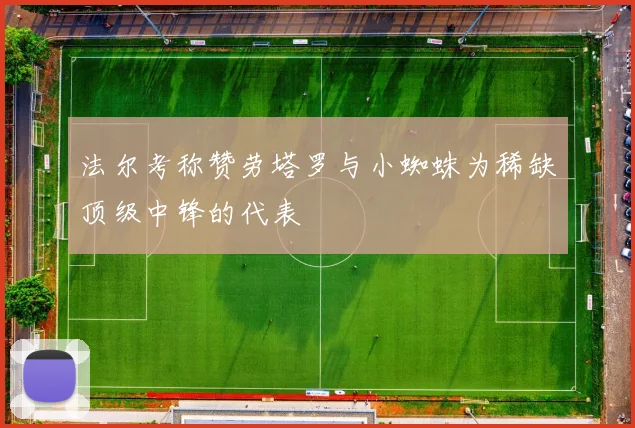 法尔考称赞劳塔罗与小蜘蛛为稀缺顶级中锋的代表